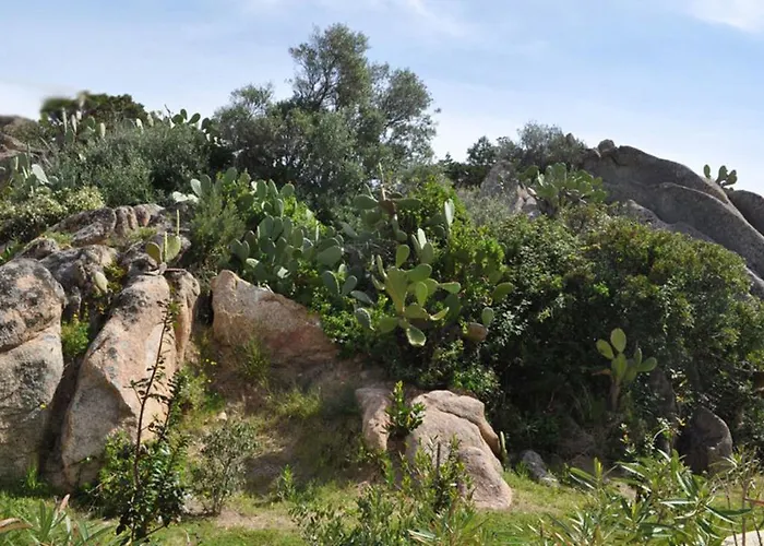 Rocce E Mare Daire Porto Cervo